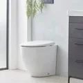 Roper Rhodes 490mm Paradigm Back To Wall Rimless Wc Pan detail view - Image 3