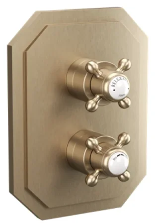 Crosswater Belgravia Crosshead Crossbox 2D Trimset Brushed Brass detail view - Image 2