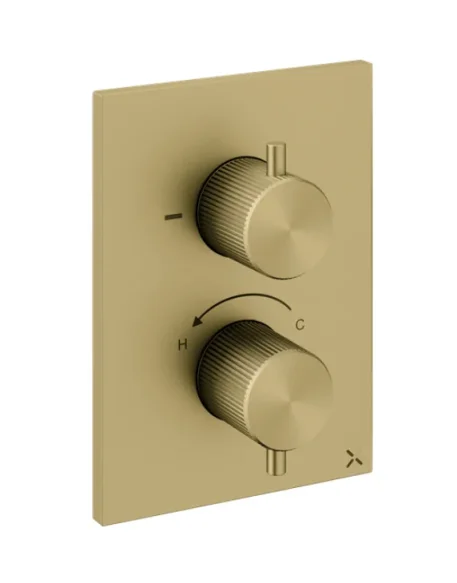 Crosswater Crossbox 3ONE6 2 Outlet Trim & Levers Stainless Brushed Brass Effect detail view - Image 1