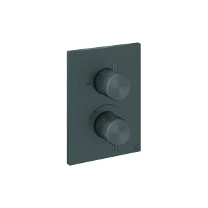 Crosswater Crossbox 3ONE6 2 Outlet Trim & Levers Stainless Slate