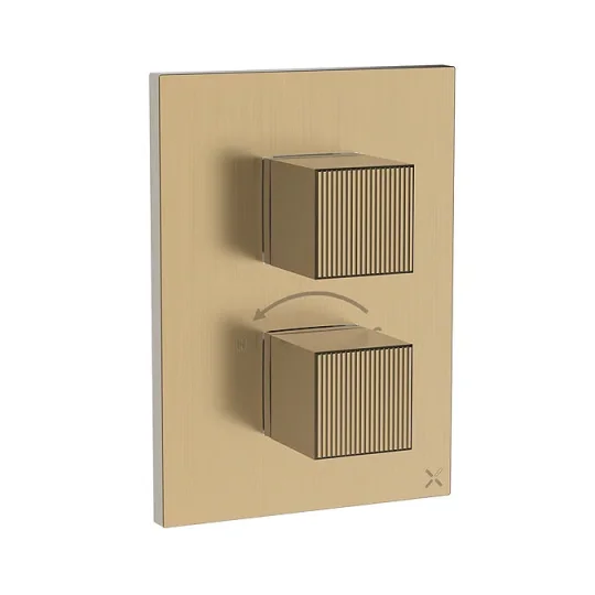 Crosswater Crossbox Limit 1 Oulet Trim & Levers Brushed Brass detail view - Image 2