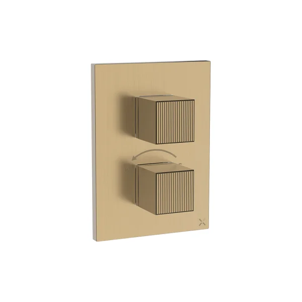 Crosswater Crossbox Limit 1 Oulet Trim & Levers Brushed Brass