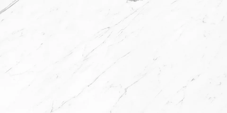 European Tiles Marmo STATUARIO LUX 120 X 60 Rectified Matte Tile STOCK detail view - Image 2