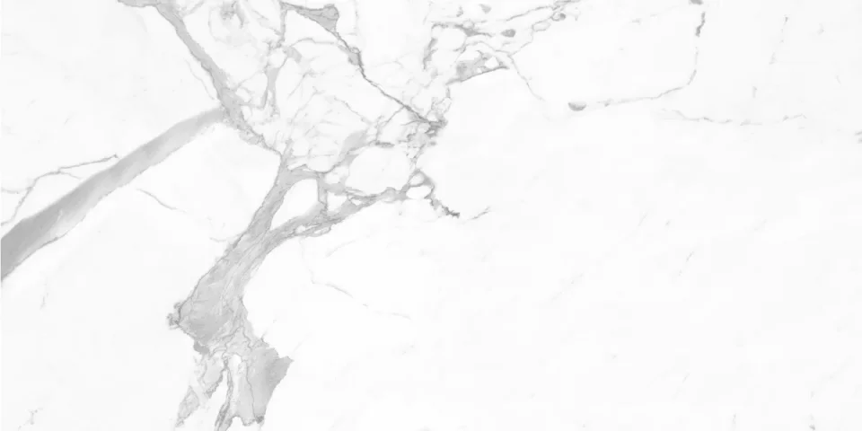 European Tiles Marmo STATUARIO LUX 120 X 60 Rectified Matte Tile STOCK detail view - Image 7