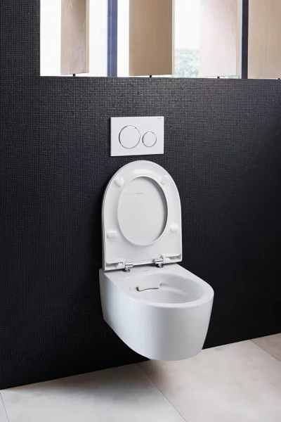 Geb 204000000 Icon Wall Hung Wc