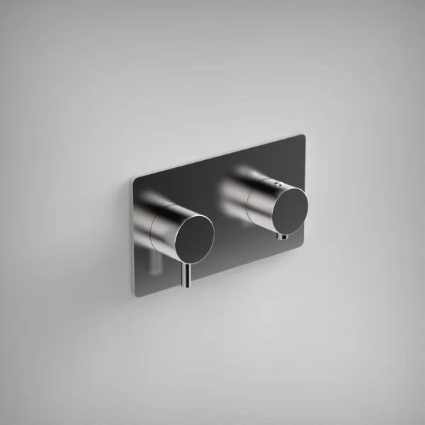 Ava Trend 2 Way 2 Handle Thermostatic Valve W/ Backplate 3.0 - Polished Stainless Steel