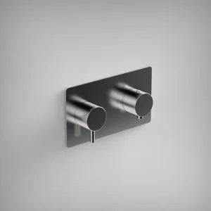Ava Trend 2 Way 2 Handle Thermostatic Valve W/ Backplate 3.0 - Polished Stainless Steel