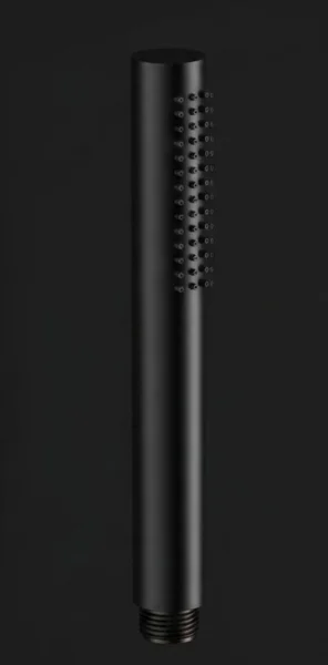 Ava Pencil Hand Shower - Brushed Black