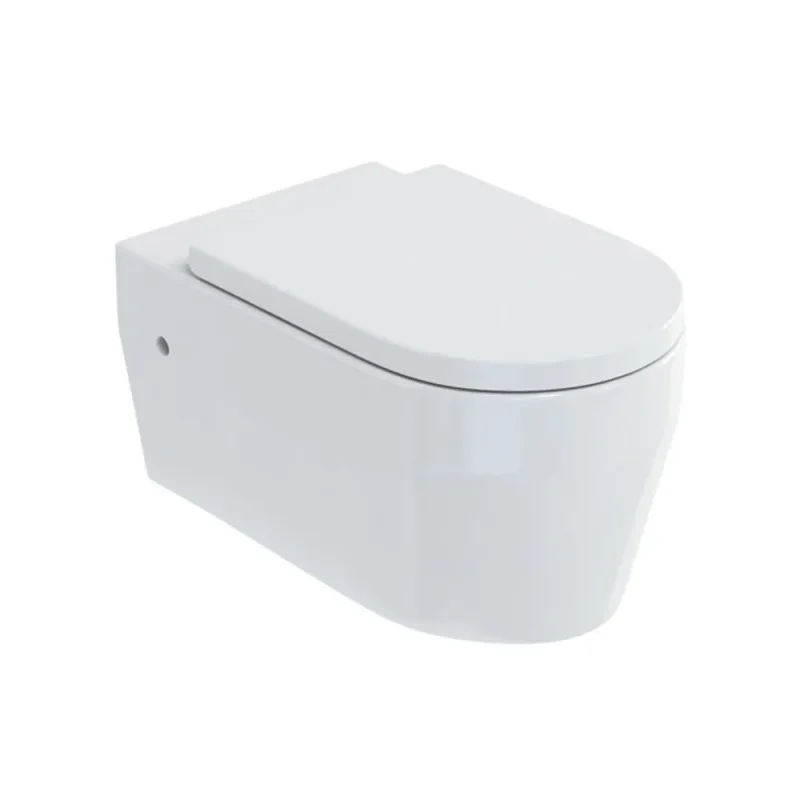 Britton Stadium Wall Hung Wc & Seat Gloss White detail view - Image 2