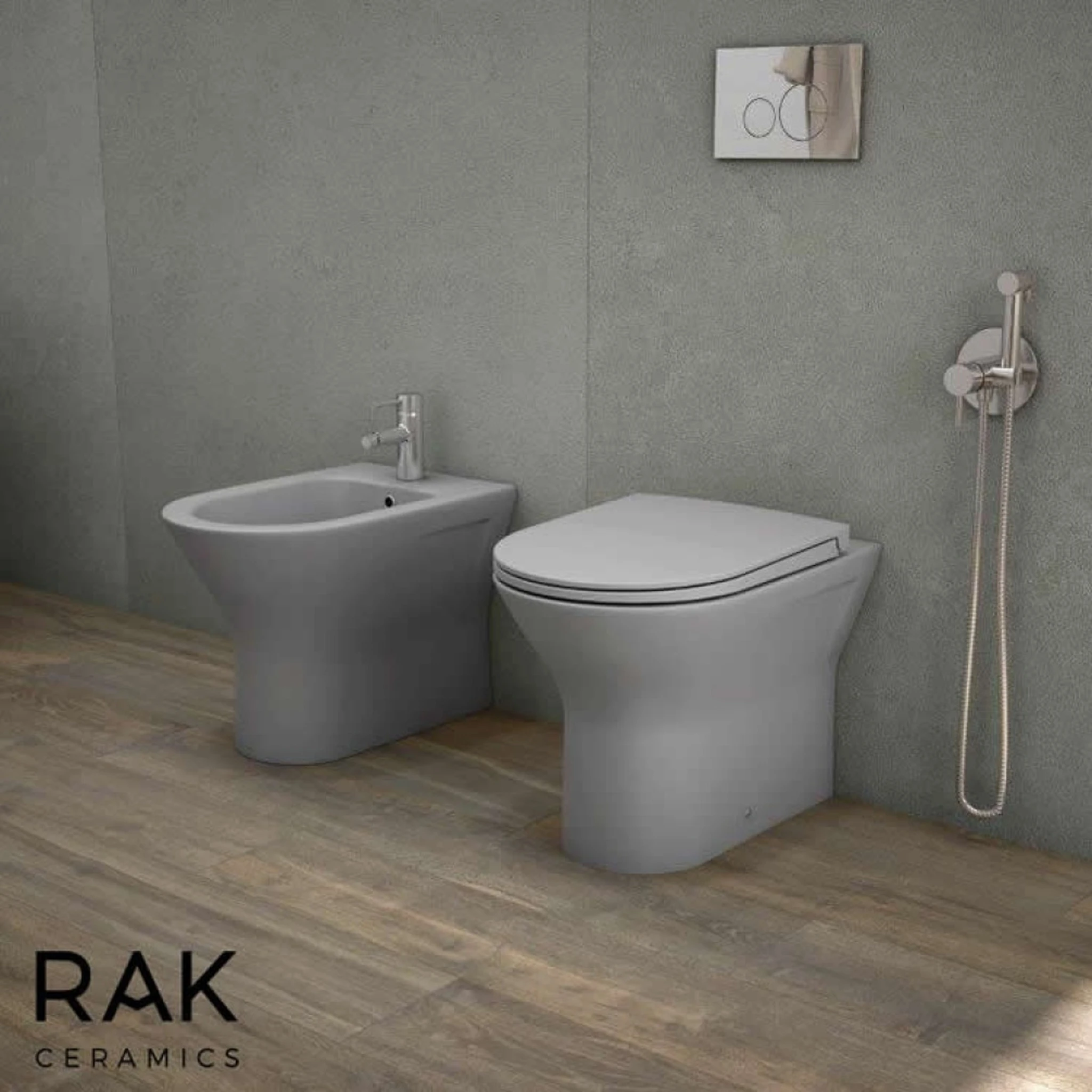Rak Feeling Rimless Back To Wall Pan In Matt Grey