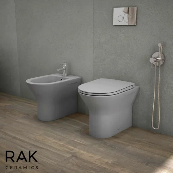 Rak Feeling Rimless Back To Wall Pan In Matt Grey
