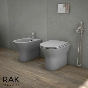 Rak Feeling Rimless Back To Wall Pan In Matt Grey