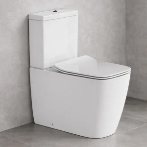 Britton Square Cc Pan Fully Back To Wall Rimless Inc Seat And Fixings