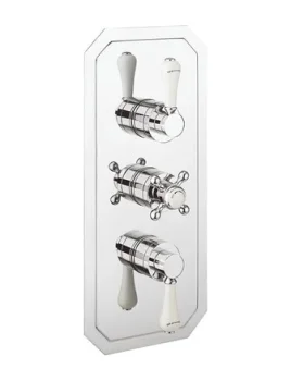 Crosswater Belgravia 2000 Thermo Back Plate VS Chrome detail view - Image 2