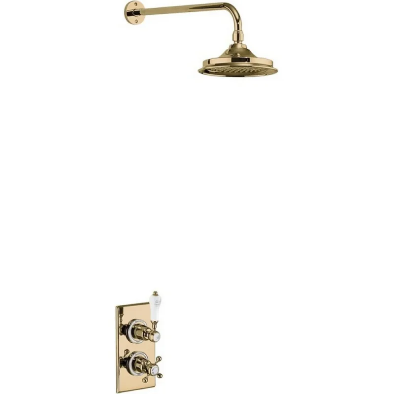 Burlington Trent Single Shower Valve And Arm Gold detail view - Image 2