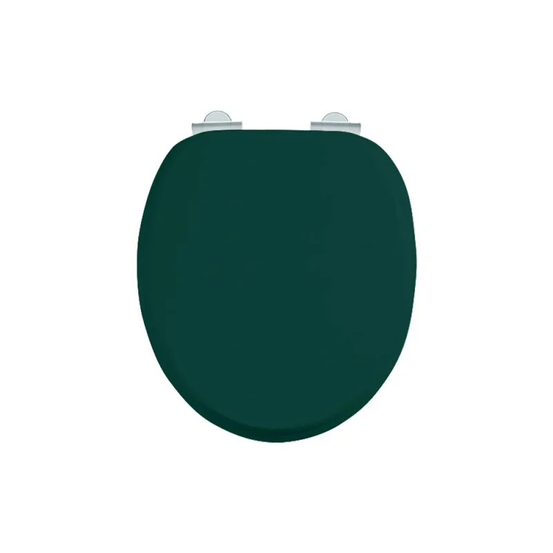 Burlington Soft Close Toilet Seat Matt Green product image - Image 3