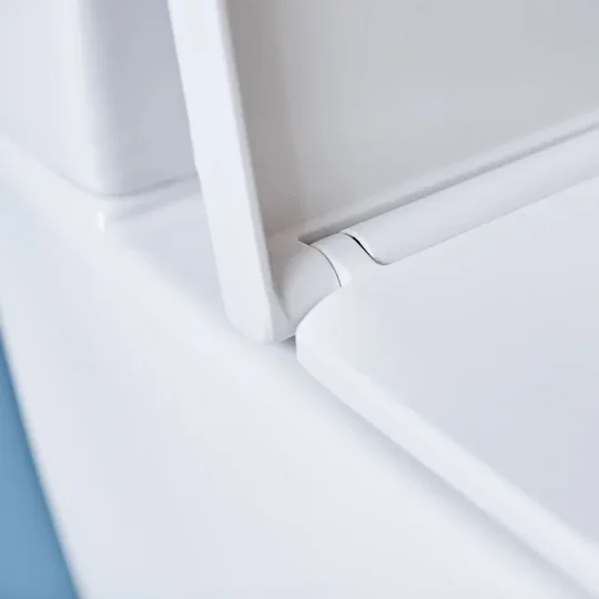 Britton Sphere Tall Rimless Back To Wall Pan 480mm & Seat Gloss White detail view - Image 3
