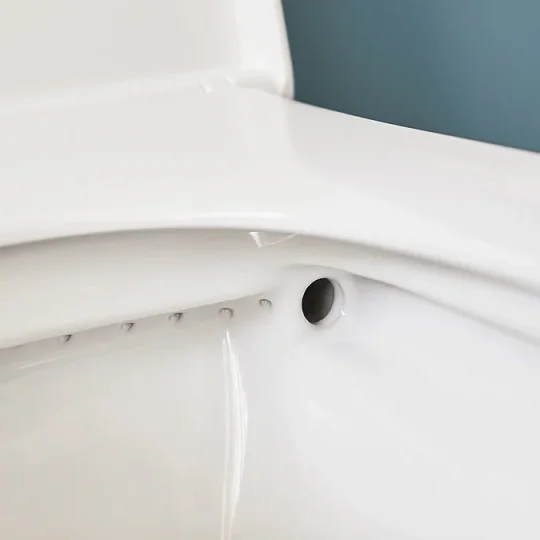 Britton Sphere Tall Rimless Back To Wall Pan 480mm & Seat Gloss White detail view - Image 4