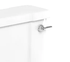 Burlington Arcade/riviera Chrome Cistern Lever detail view - Image 2