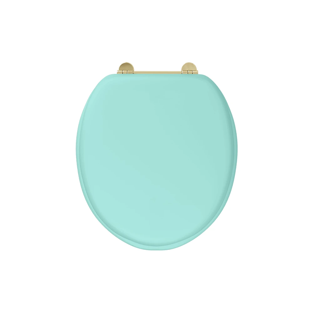 Burlington Bespoke Cosmic Green Seat With Gold Hinges