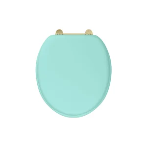 Burlington Bespoke Cosmic Green Seat With Gold Hinges