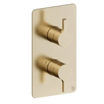 Britton Hoxton 2.0 Shower Mixer Without Diverter Including The Conceal Valve Brushed Brass product image - Image 3