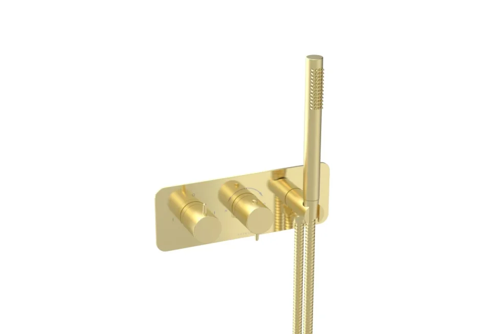 Saneux Eden 2 Way Handles & Plate Finish Kit In Landscape With Outlet Elbow (for Ed020l.h.bb) - Brushed Brass (pvd) product image - Image 1