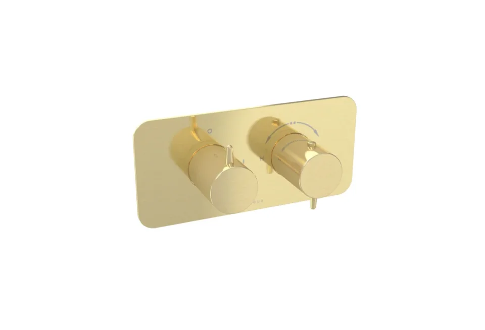 Saneux Eden 1 Way Thermostatic Shower Valve Kit In Landscape - Brushed Brass detail view - Image 3
