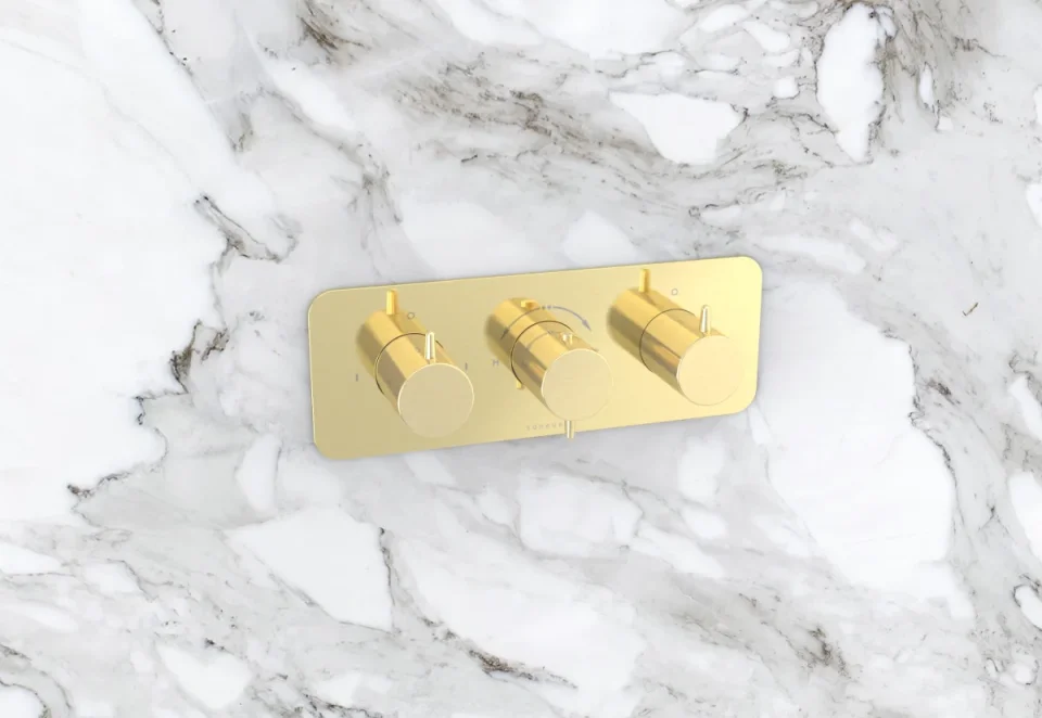 Saneux Eden 3 Way Handles & Plate Finish Kit In Landscape (for Ed021l.bb) - Brushed Brass (pvd) detail view - Image 3