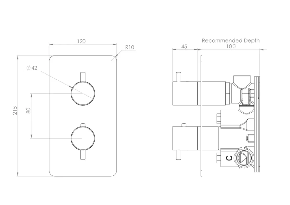 Saneux Cos 1 Way Shower Plate & Shrouds - Brushed Nickel detail view - Image 2