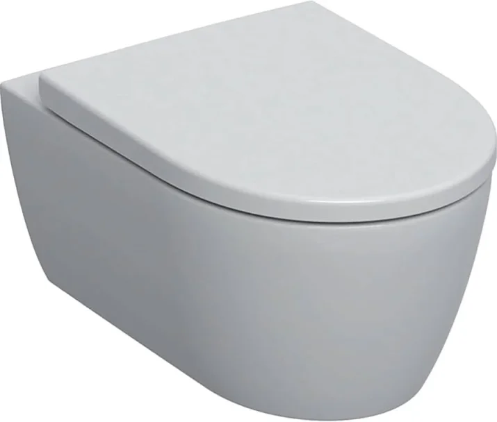 Geberit Icon Wall Hung Pan & Soft Close Seat (rimfree) detail view - Image 4