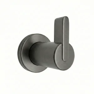 Ava Elegance Stainless Steel Robe Hook - Brushed Black