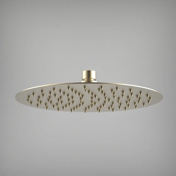 Ava Round 250mm Shower Head (8mm Thickness) - Brushed Brass