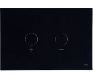 Blink Pneumatic Dual Flush Plate Matt Black RT