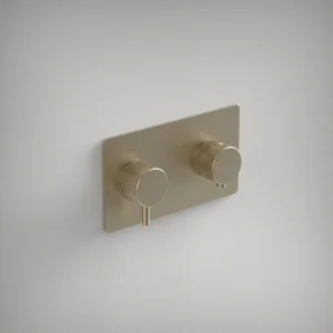 Ava Fluted 1 Way 2 Handle Thermostatic Valve W/ Backplate - Brushed Brass