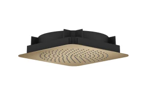 Axor Citterio C Overhead Showers 373 X 373 X 105mm Bronze - Brushed