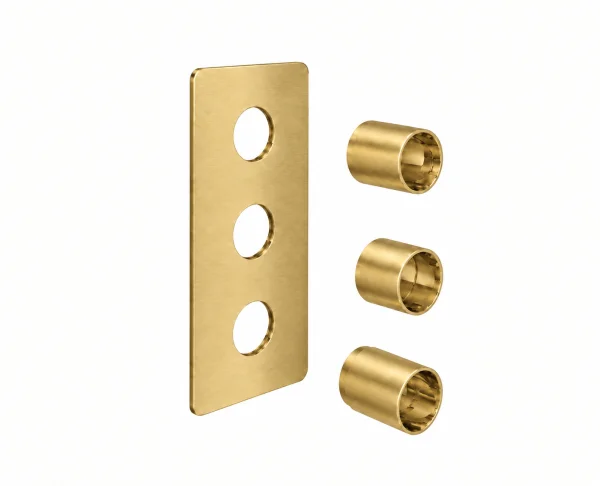 Saneux Cos 3 Way Shower Plate & Shrouds - Portrait - Brushed Brass