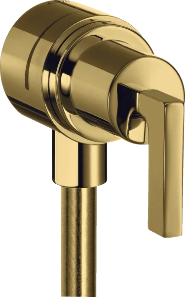 Axor Citterio Shut-off Valves 217 X 78 X 75mm Gold - Polished