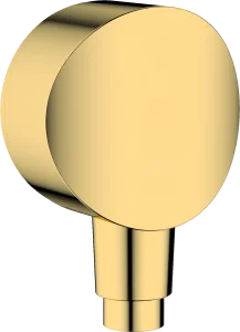 Hansgrohe Fixfit Wall Outlet 119 X 66 X 47mm Gold - Polished