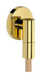 Hansgrohe Fixfit Fine S Wall Outlet 97 X 83 X 65mm Gold - Polished