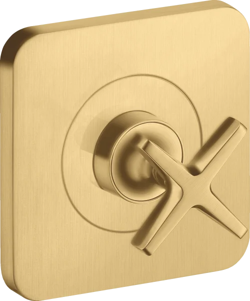 Axor Citterio E Shut-off Valves 300 X 206 X 136mm Gold - Brushed