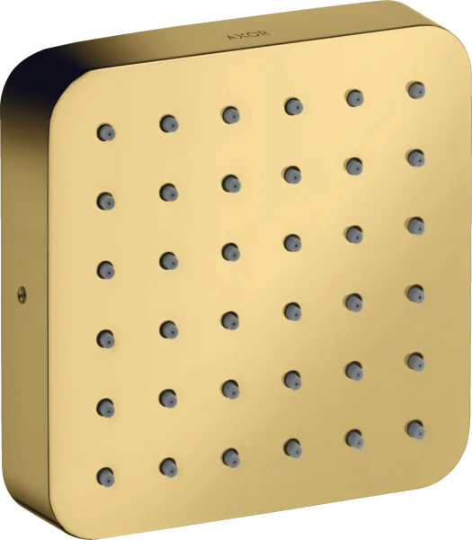 Axor Citterio E Body Jets 285 X 155 X 85mm Gold - Polished