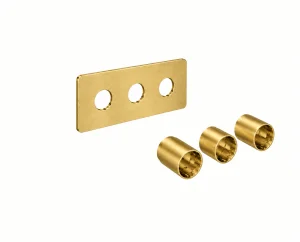 Saneux Cos 3 Way Shower Plate & Shrouds - Landscape - Brushed Brass
