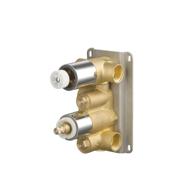 Saneux Thermostatic Valve Body With 2 Outlets & 2 Holes - Brass