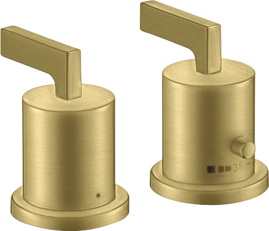 Axor Citterio Thermostatic Bath Filler Concealed 130 X 110 X 87mm Brass - Brushed
