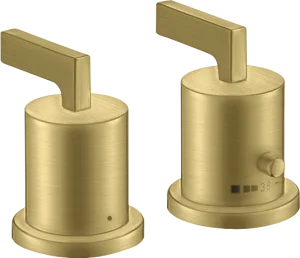 Axor Citterio Thermostatic Bath Filler Concealed 130 X 110 X 87mm Brass - Brushed