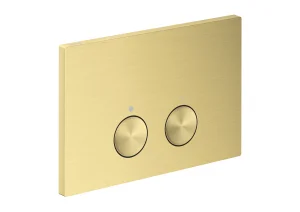 Axor Flushplate Flush Plates 370 X 225 X 100mm Brass - Brushed