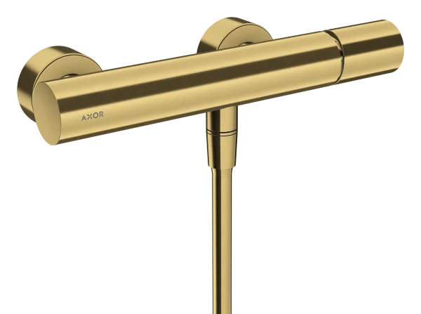 Axor Uno Shower Mixers Exposed 330 X 220 X 160mm Gold - Brushed