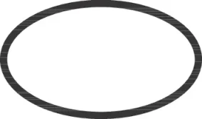 Hansgrohe O-rings 70 X 60 X 3mm product image - Image 1