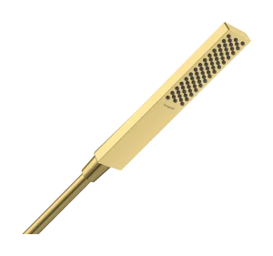Hansgrohe Pulsify E Hand Showers 250 X 61 X 45mm Gold - Polished